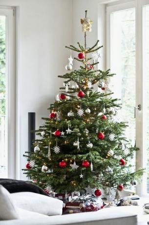 クリスマスツリーとモダンなフラット