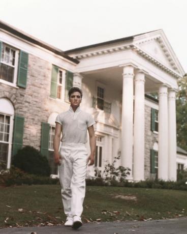 Elvis Presley u Gracelandu