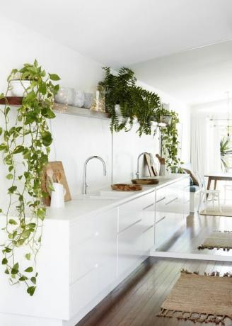 вилинска светла нанизана око пратеће биљке у кухињи