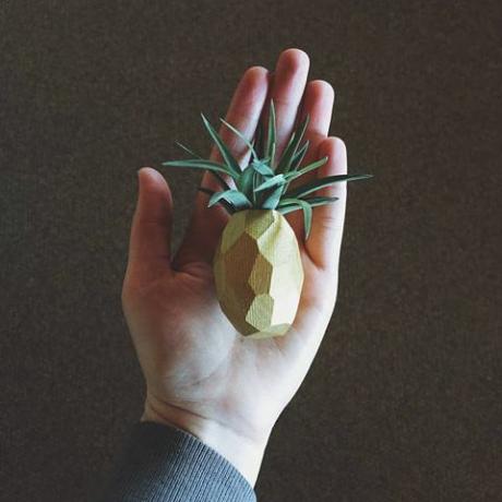 Käsi, sõrm, ananass, origami, taim, pöial, Bromeliaceae, 