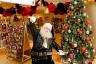 Selfridges práve otvoril svoj vianočný obchod o 145 dní skôr