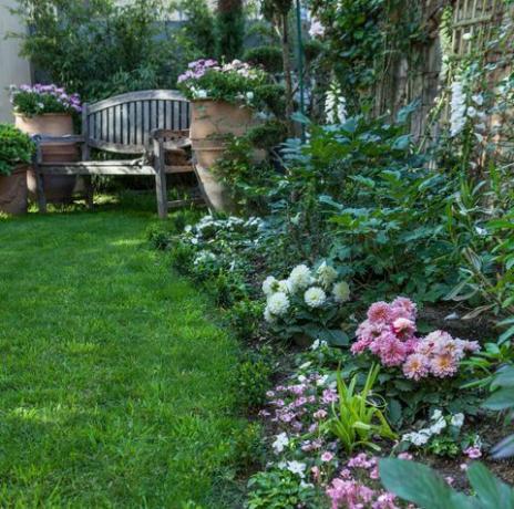 Bänk i en blommig urban trädgård