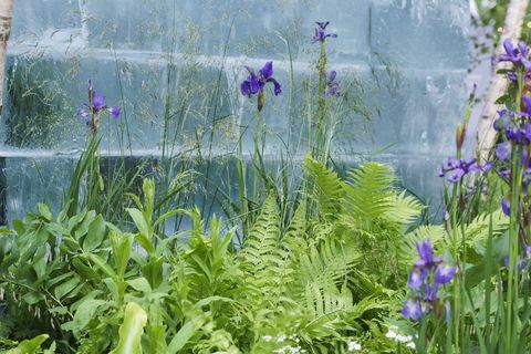 Expoziția de flori din Chelsea 2022 grădina de gheață a lui plantman proiectată de John Warland Sanctuary Garden