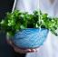 23 hangende plantenpotten - beste hangende plantenbakken voor binnenshuis