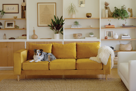 sofa warna mustard