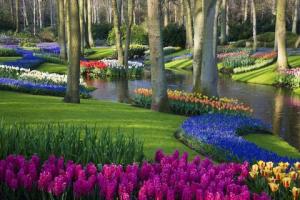 8 красивых виртуальных туров по саду, которыми можно насладиться в изоляции