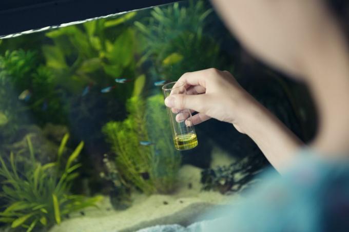 девушка использует химический тест для измерения качества воды в домашнем аквариуме