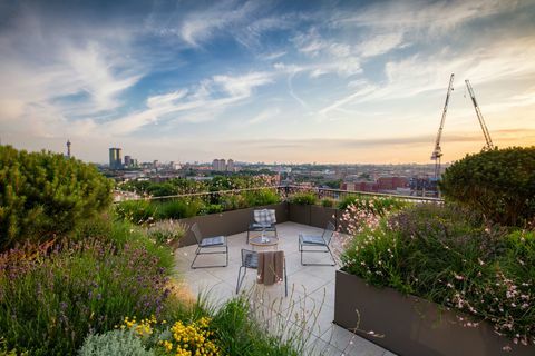 Prêmio Society of Garden Designers - Emily Erlam - Vencedor do prêmio Roof Garden - SGD Awards 2017. FOTO RICHARD BLOOM 