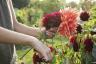 Chelsea Flower Show 2020: RHS Garden for Friendship, Ensomhet