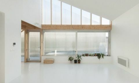 인테리어 디자인, 벽, 나무, 화분, 인테리어 디자인, 직사각형, 관엽식물, 창 덮개, 일광, 투명 소재, 