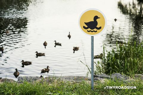 Знак за малка патица