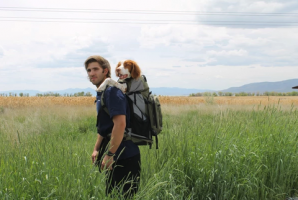 Видео преглед на K9 Sport Sack