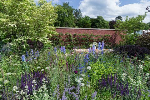 Wedgwood dārzs. Projektējis: Džeimijs Batervorts. Sponsorē: Wedgwood. Show Garden. RHS Chatsworth ziedu izstāde 2019.