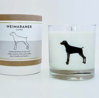 Weimaraner Kerze