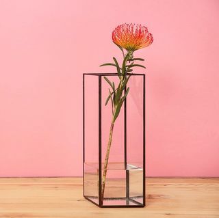 Vaso de vidro moderno 