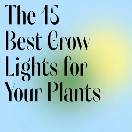 आपके पौधों के लिए 15 सर्वश्रेष्ठ ग्रो लाइट्स