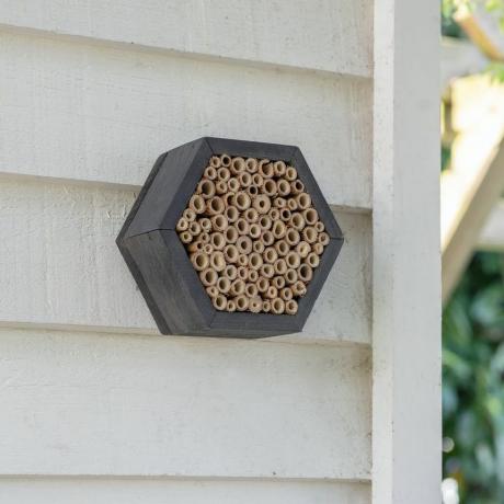Szetlandzki sześciokątny domek dla pszczół