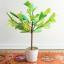 Den håndlavede stueplantebog hjælper dig med at lave plantekunst