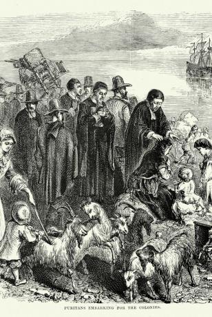 puritani îmbarcându-se spre colonii