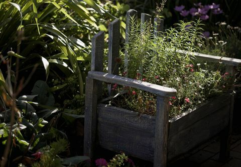 夏のプランターとして使用される再生された庭のベンチ