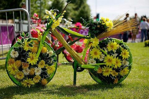 Riepa, ritenis, velosipēda riteņa loka, velosipēda riepa, velosipēdu piederums, loka, zieds, spieķis, velosipēda ritenis, velosipēds, 