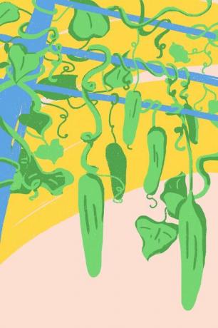 Grün, Pflanze, Blatt, Gemüse, Paprika und Chilischoten, Illustration, Paprika, Jalapeño, Paprika, Welt, 