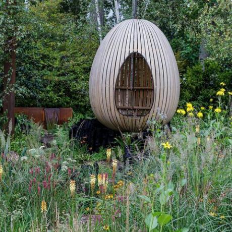 Виставка квітів у Челсі 2021 органічний сад долини Йо, розроблений Томом Месі