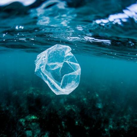 plastična vrečka, ki plava nad grebenom v oceanu, Kostarika