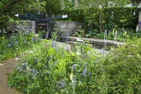 Выставка цветов в Челси 2019 - Добро пожаловать в Йоркширский сад от Марка Грегори