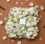Floom sælger 750 kroner Valentinsdagblomster med Mejuri -diamanter i en 14 k guldkæde