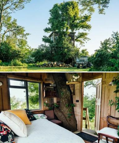 Domek na drzewie Airbnb w Wielkiej Brytanii