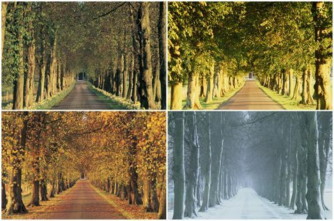 아름다운 가을 풍경: 컨트리 레인, 영국