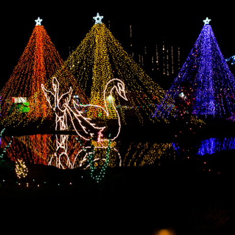 milepæl, julelys, lys, juledekoration, jul, belysning, Indretning, træ, fest, midnat,