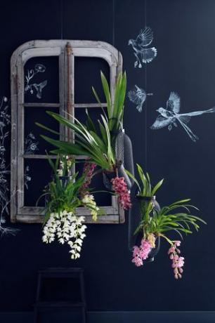 Cascata Cymbidium: Orquídeas que abraçam a tendência Harmonizar