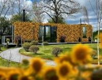 Sie können jetzt im ersten Sonnenblumenhotel der Welt übernachten