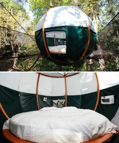 Domek na drzewie Airbnb