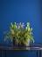 La Redoute uvádí na trh luxusní umělé rostliny Bloom