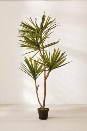 Yucca 6 ’Faux Tree em vasos