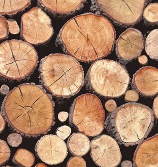 Fa, fakitermelés, fás szárú növény, törzs, fűrészáru, természetes anyag, keményfa, kör, csendélet fotózás, őszibarack, 