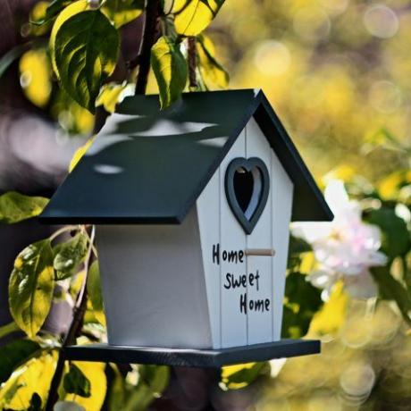 градински оазис, къща за птици в цъфналата ябълково дърво селективен фокус