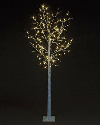 شجرة البتولا مع المصابيح البيضاء الدافئة