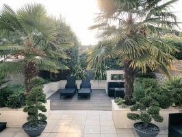 첼시 플라워 쇼: 런던 홈에서 니키 채프먼의 정원 둘러보기
