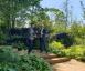 Víťazi Chelsea Flower Show: Andy Sturgeon's M&G Garden Best In Show