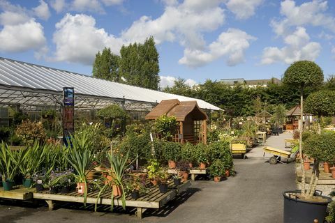dārza centrs Knutsfordā, Češīrā, Lielbritānijā