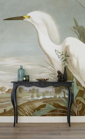Koleksi Audubon - burung - Wallpaper Mural. Ilustrasi oleh J.J. Audubon, Burung Amerika