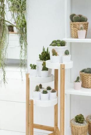 Az IKEA és az Indoor Garden Design közösen készített egy kijelzőt az RHS Chelsea Flower Show 2017-en