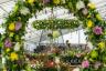 „Hampton Court“ ir „Tatton Park“ gėlių pasirodymai grįžta liepos mėnesį
