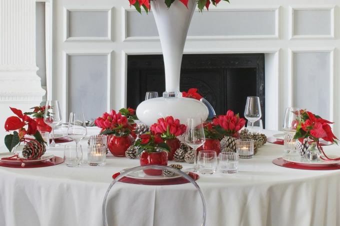 Esstisch mit Weihnachtssternen dekoriert
