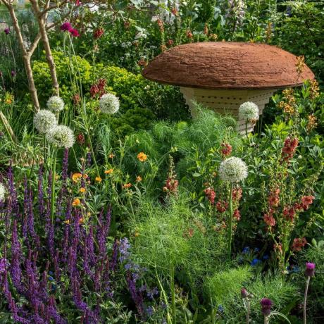 bbc studios mūsu zaļā planēta un rhs bišu dārzs, ko projektējis Džo Svifs Rhs Chelsea ziedu šovs 2022