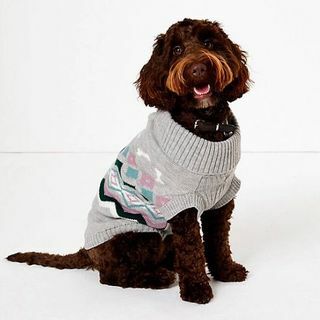 Sweter dla psa w paski z nadrukiem w jodełkę